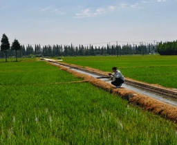 政院学子｜色中色
硕士研究生李雨璇参与「百县笃行计划」实践团，前往松江区实习实践